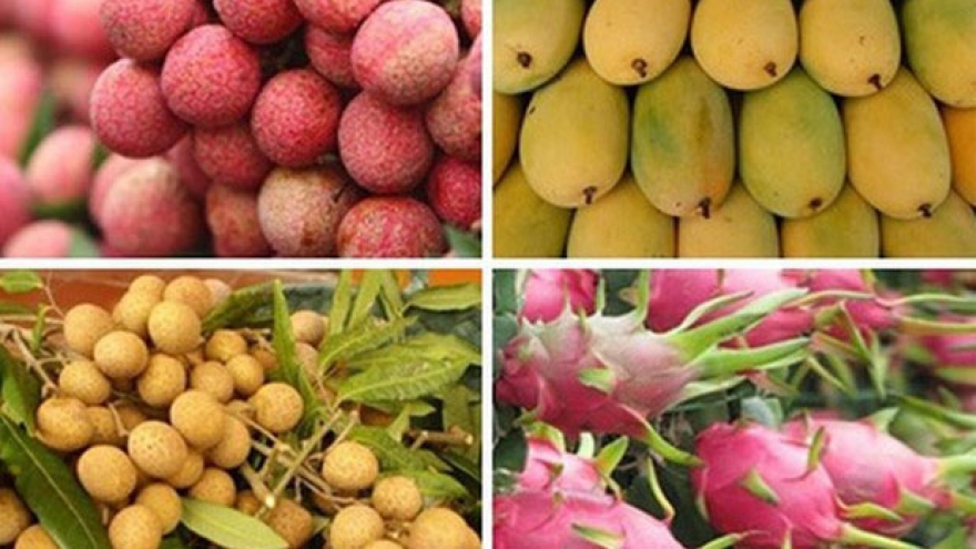 Vietnamese fruits gain strong foothold in Australia